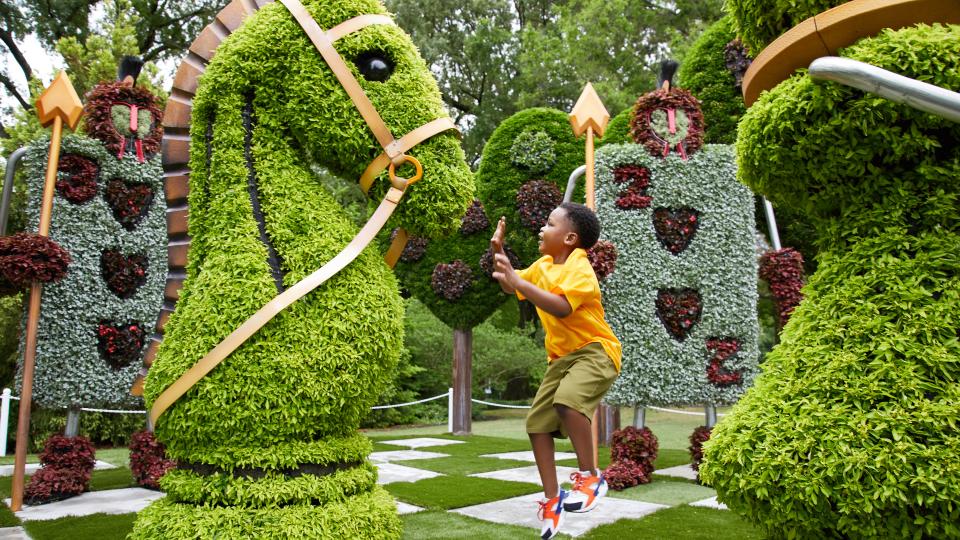 Discover the wonder of Alice's Adventures at the Garden