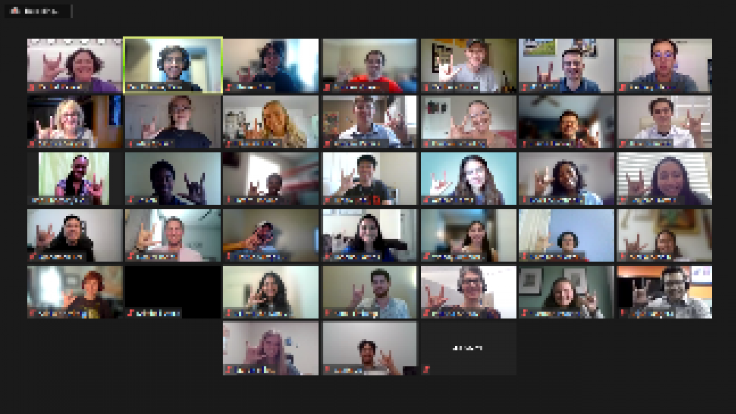 Zoom call screenshot