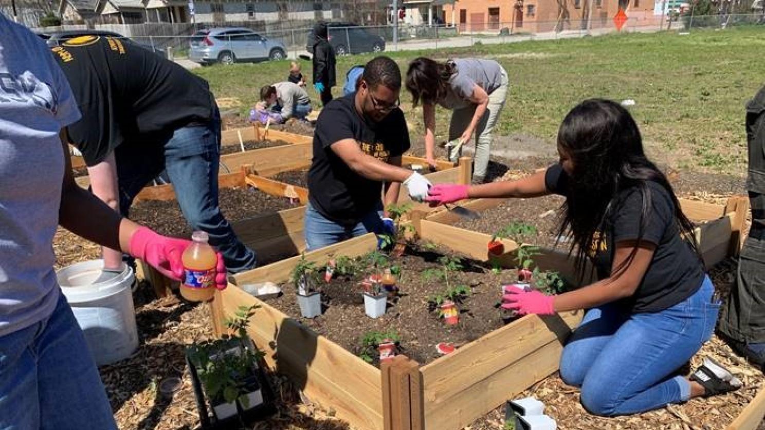 teens planting a garden