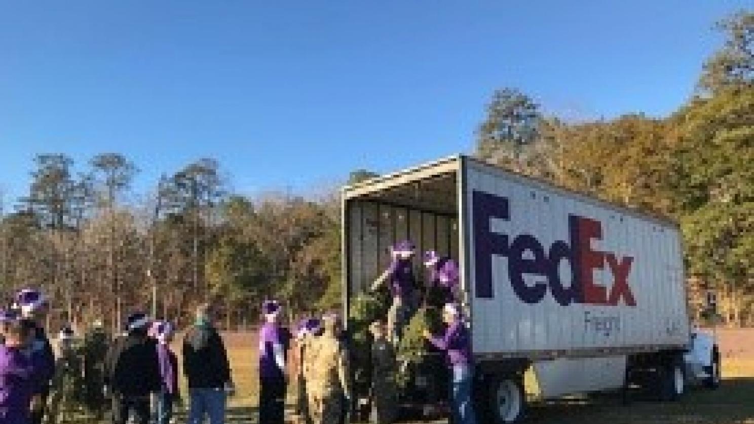 Volunteers unloading trees
